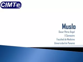 muslo