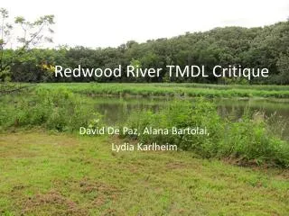 Redwood River TMDL Critique