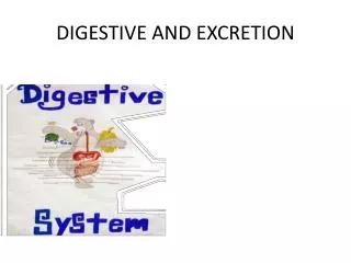digestive and excretion