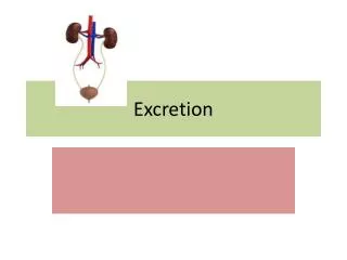 excretion