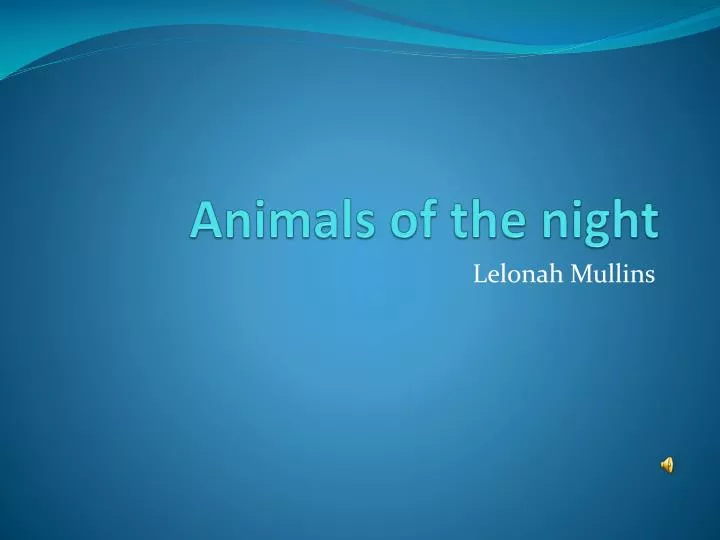 animals of the night