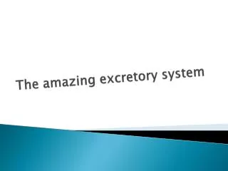 The amazing excretory system