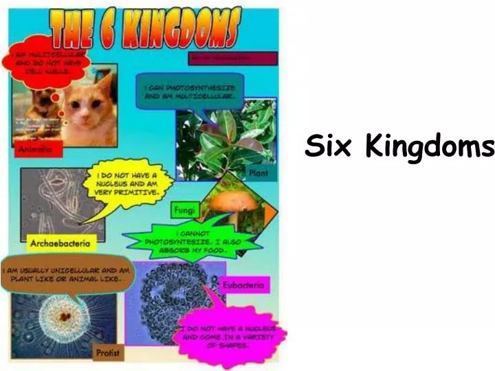 six kingdoms