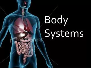 Body Systems