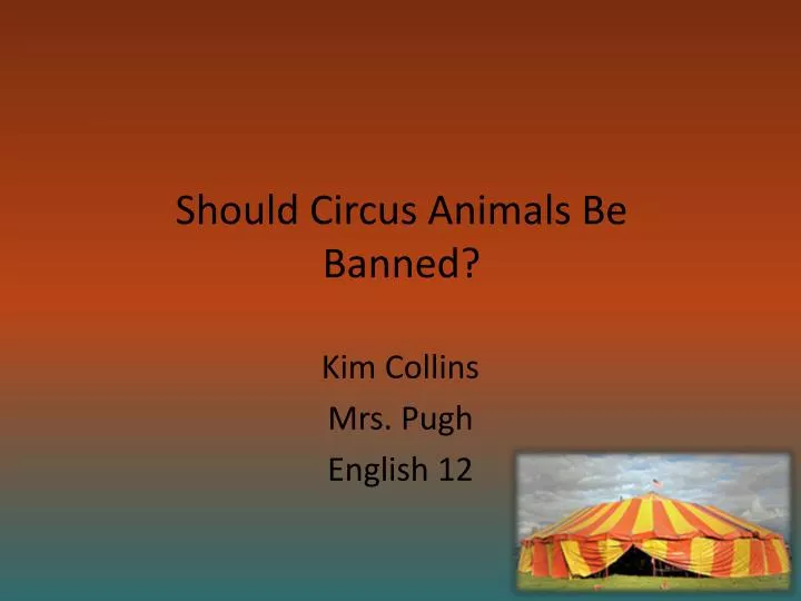 should circus animals be banned