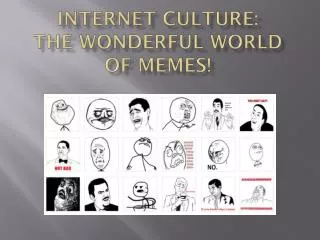 Internet Culture: The Wonderful World of Memes!