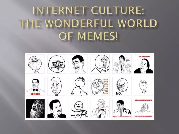 internet culture the wonderful world of memes
