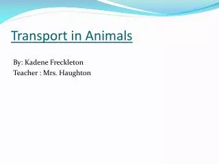 Transport in Animals