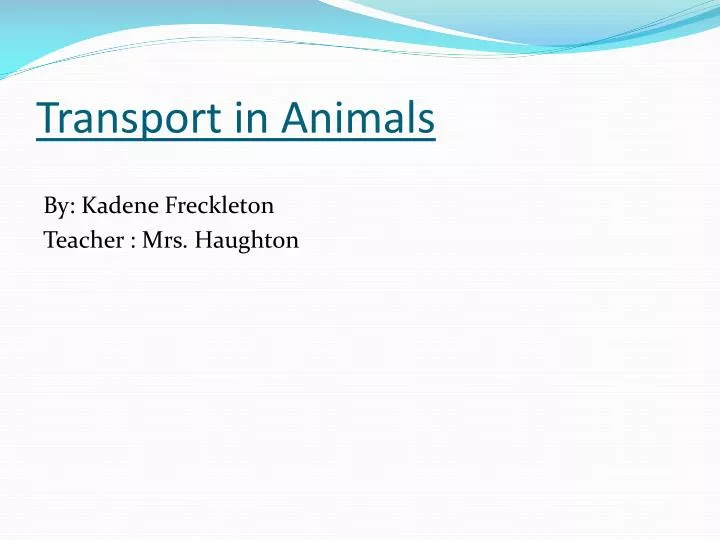 transport in animals