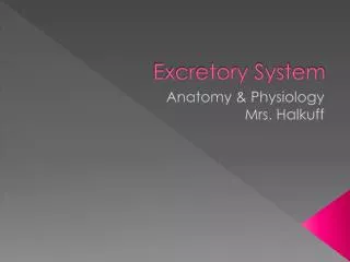 Excretory System