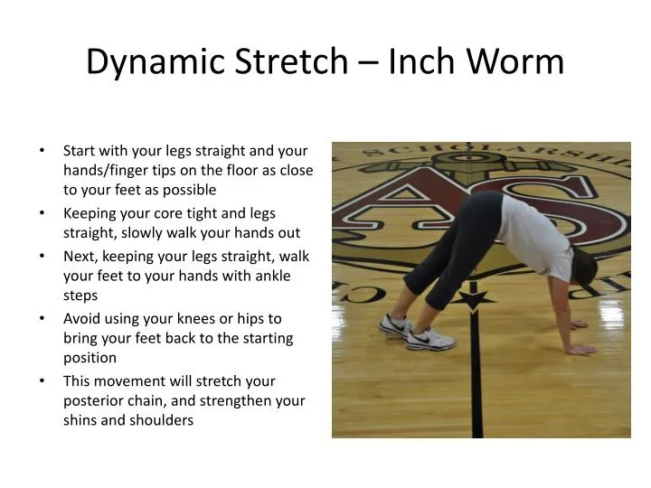 dynamic stretch inch worm