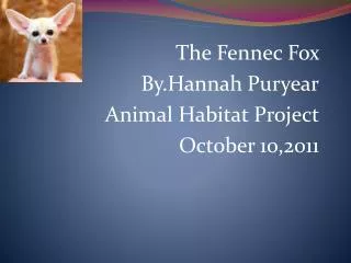 The Fennec Fox By.Hannah Puryear Animal Habitat Project October 10,2011