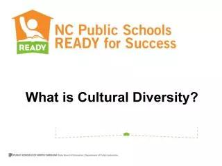 What is Cultural Diversity?
