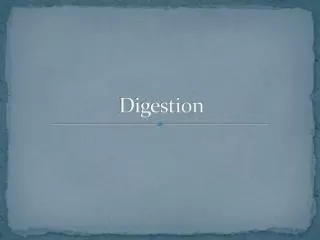 Digestion