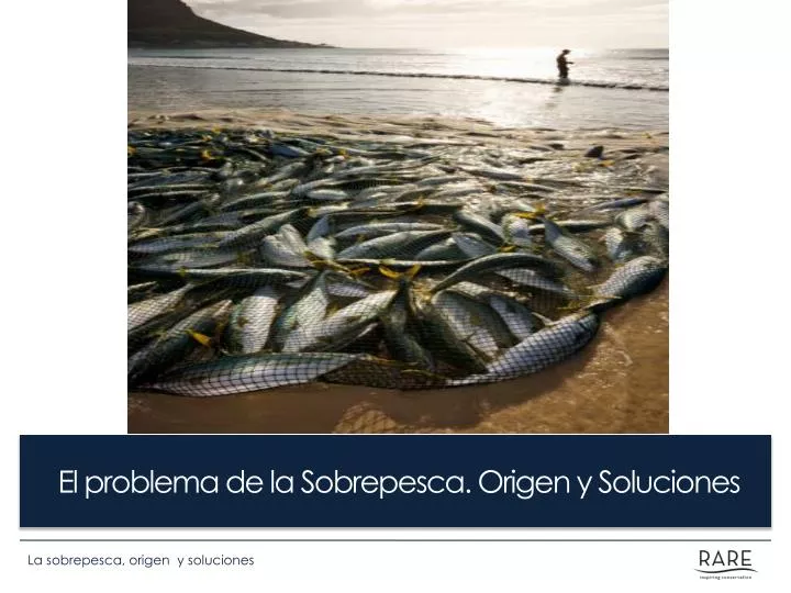 el problema de la sobrepesca origen y soluciones