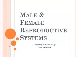 Male &amp; Female Reproductive Systems