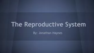 the reproductive system