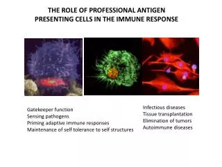 Infectious diseases Tissue transplantation Elimination of tumors Autoimmune diseases