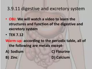 3.9.11 digestive and excretory system