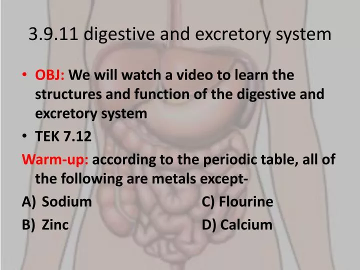 3 9 11 digestive and excretory system