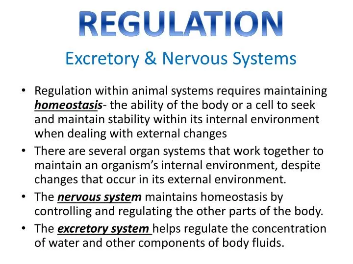 regulation excretory nervous systems