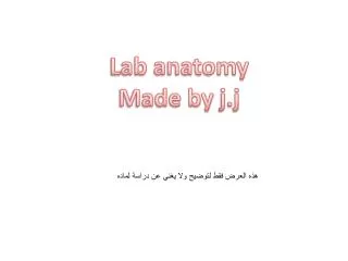 Lab anatomy Made by j.j