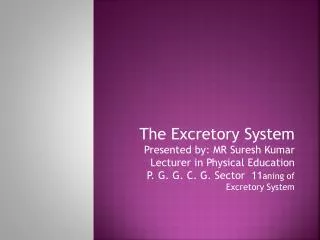 Organs of Excretory System, Their Structure And Functions Kidneys Two