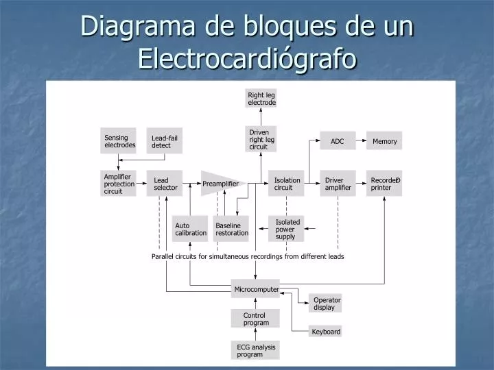 diagrama de bloques de un electrocardi grafo
