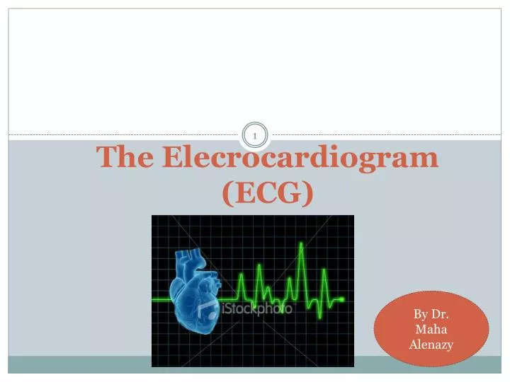 the elecrocardiogram ecg