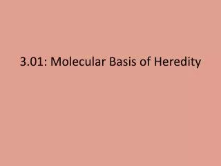 3.01: Molecular Basis of Heredity