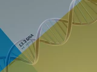13.3 DNA
