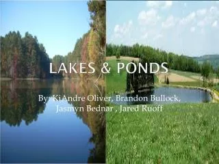 Lakes &amp; Ponds