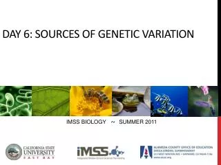 DAY 6: Sources of genetic variation