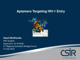 Aptamers Targeting HIV-1 Entry