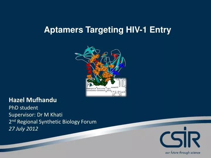 aptamers targeting hiv 1 entry
