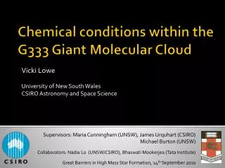 Chemical conditions within the G333 Giant Molecular Cloud