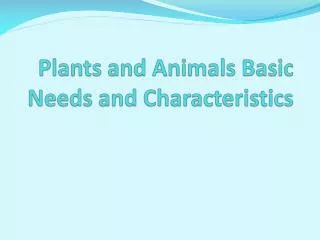 plants and animals basic needs and characteristics