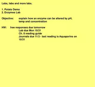Labs, labs and more labs. 1. Potato Demo 2. Enzymes Lab