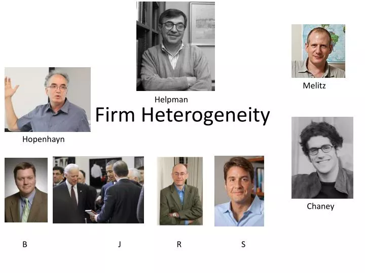 firm heterogeneity