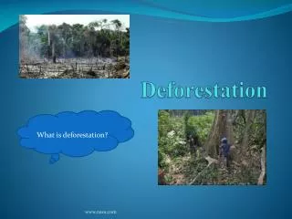 Deforestation