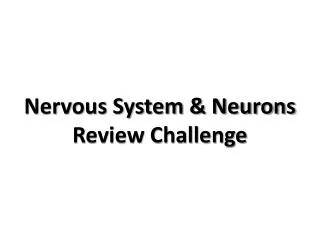Nervous System &amp; Neurons Review Challenge