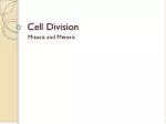 Understanding Cell Division: Mitosis and Meiosis Explained - slide 1
