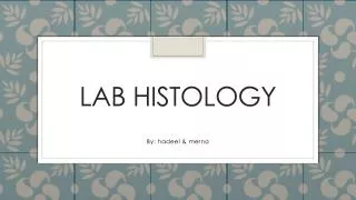 Lab histology
