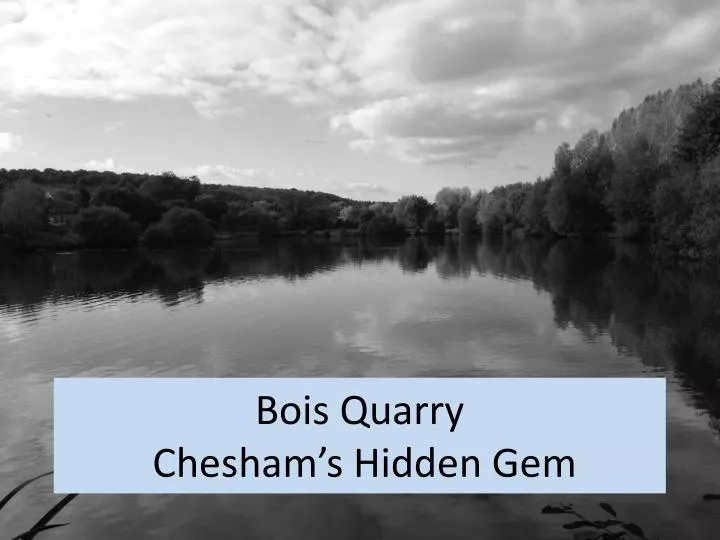 bois quarry chesham s hidden gem
