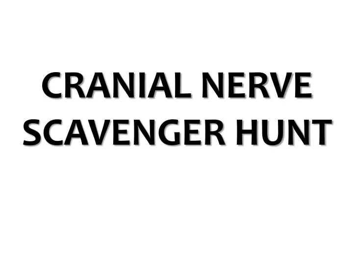cranial nerve scavenger hunt