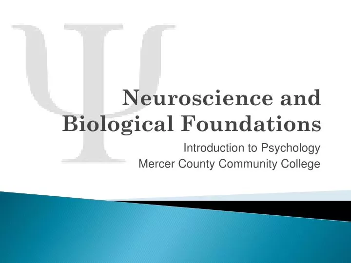 neuroscience and biological foundations