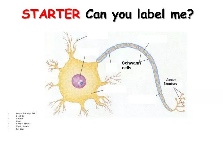 starter can you label me