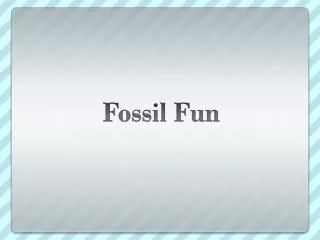 Fossil Fun
