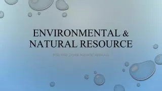 Environmental &amp; Natural Resource