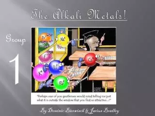 The Alkali Metals !